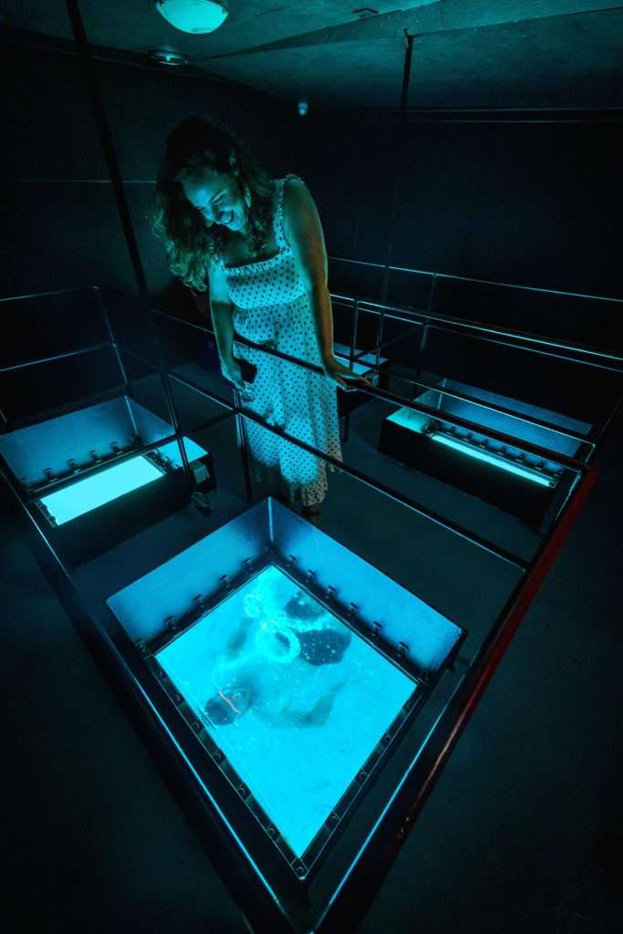 Glass bottom boat